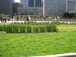 Siphonic for Podium Green Roof