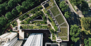 Siphonic drainage on green roofs